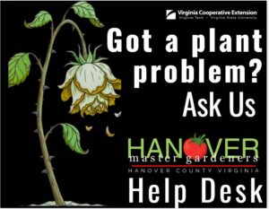 Got a Plant Problem? Ask Hanover Master Gardener Help Desk
