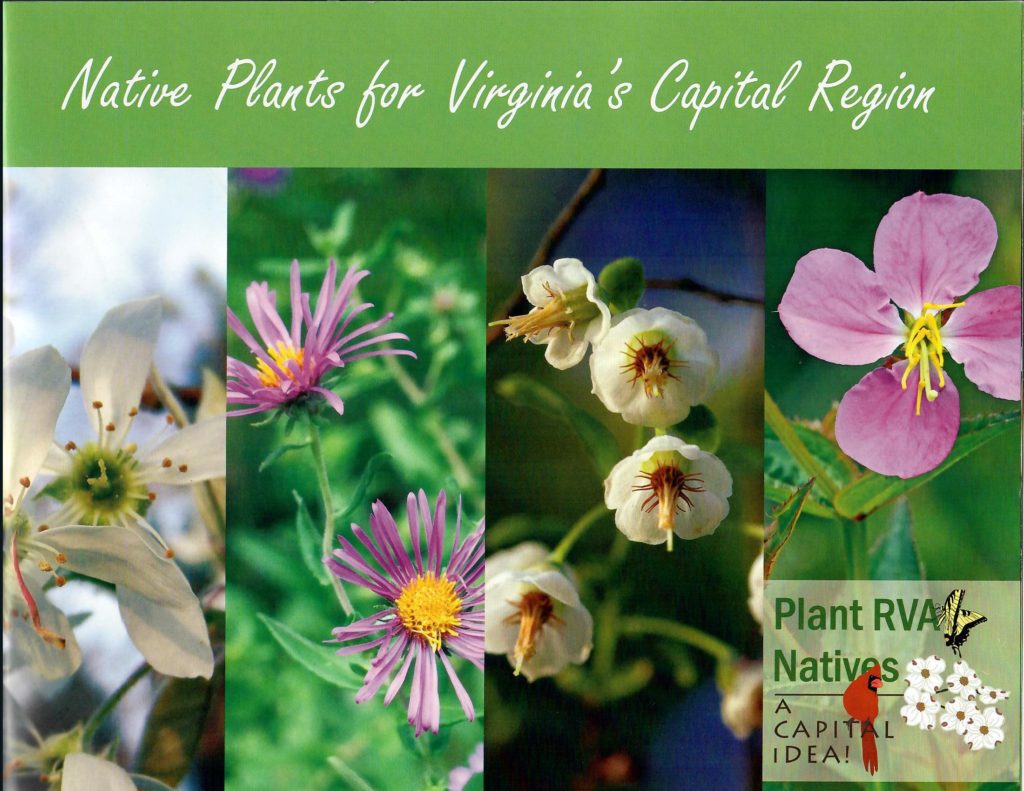 Native plants for Virginia's Capital Region Zone 7