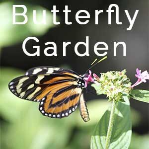 Hanover Master Garden Butterfly Garden