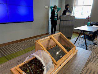 Growing with cold frames