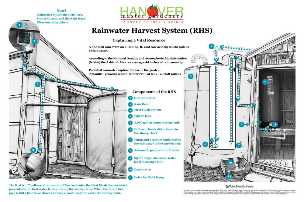 Rain Harvesting System Explained