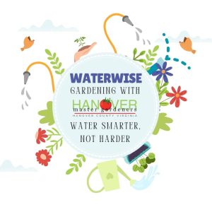 Learn to be more water-wise in your Hanover garden.
