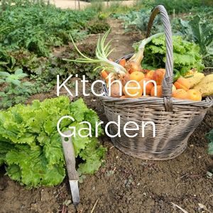 Creating a kitchen garden