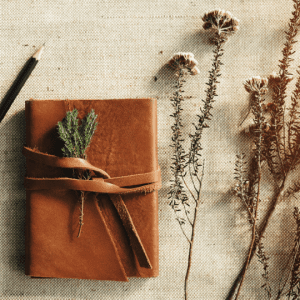 Keeping a garden journal