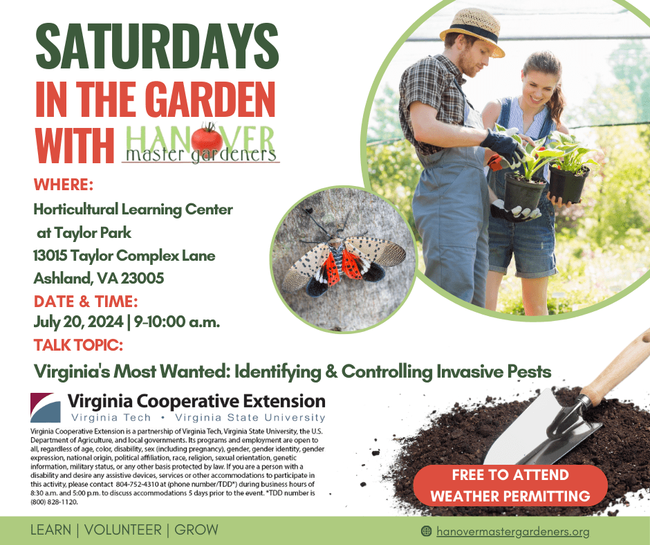 Saturdays in the Garden - learn with Hanover Master Gardeners