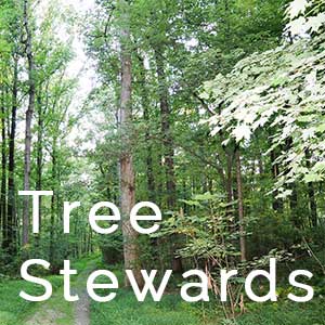 Hanover Master Gardeners Tree Stewards