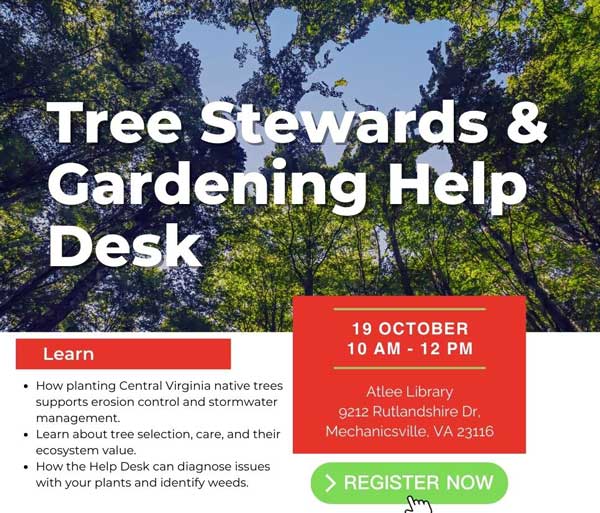 Tree-Steward-and-Help-Desk