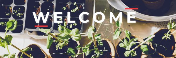 Welcome email header Welcome