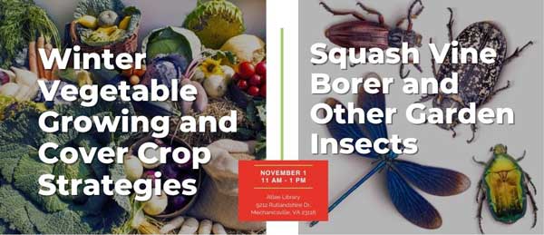 Nov-1 Winter Veggies and Squash Vine Borer Lecture - Nov 1
