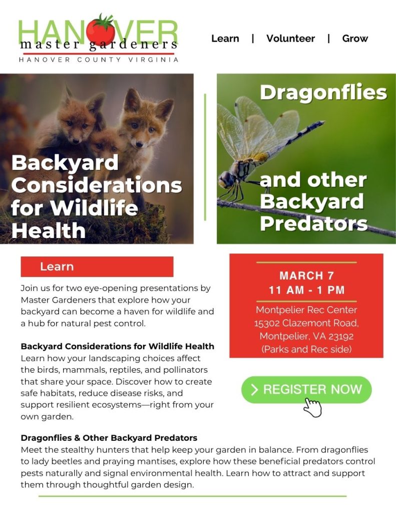 Home Gardening Series