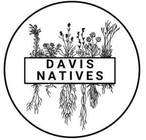Davis Natives