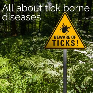 Beware of Ticks sign - All about tick borne diseases